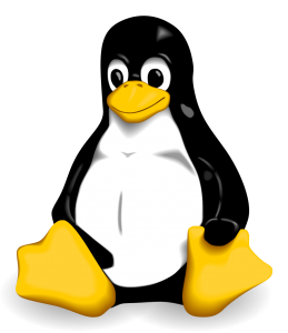 Tux-Larry_Ewing-Simon_Budig-Anja_Gerwinski_wikimedia.org_Tux.svg